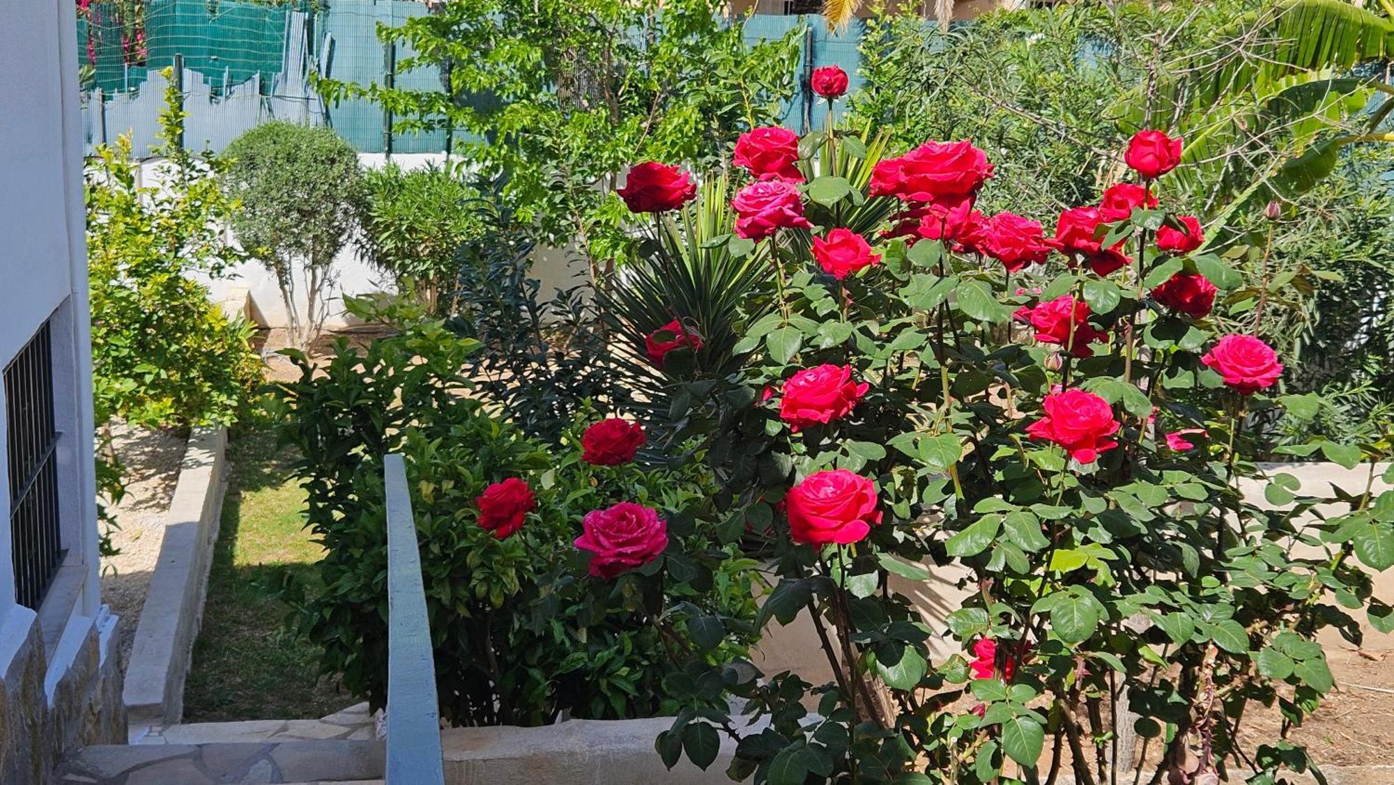 Altomira Villa Denia Luaran gambar